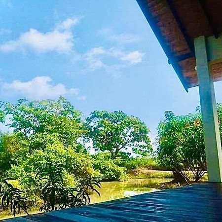 ティッサマハーラーマ Thihawa Eco Huts Yala Bed & Breakfast エクステリア 写真