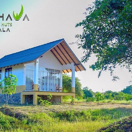 ティッサマハーラーマ Thihawa Eco Huts Yala Bed & Breakfast エクステリア 写真