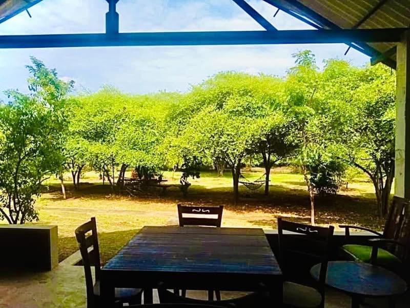 ティッサマハーラーマ Thihawa Eco Huts Yala Bed & Breakfast エクステリア 写真