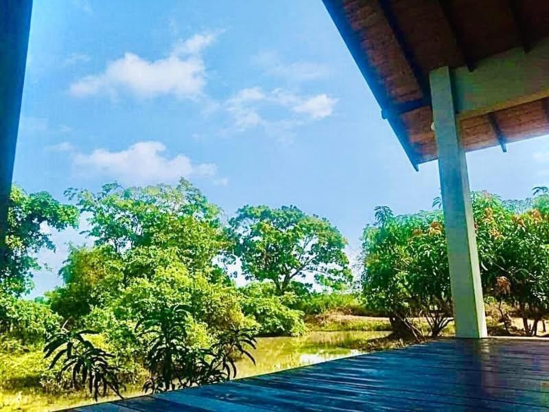 ティッサマハーラーマ Thihawa Eco Huts Yala Bed & Breakfast エクステリア 写真
