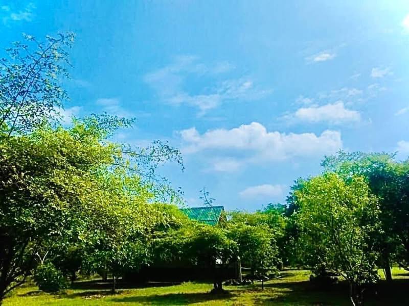 ティッサマハーラーマ Thihawa Eco Huts Yala Bed & Breakfast エクステリア 写真