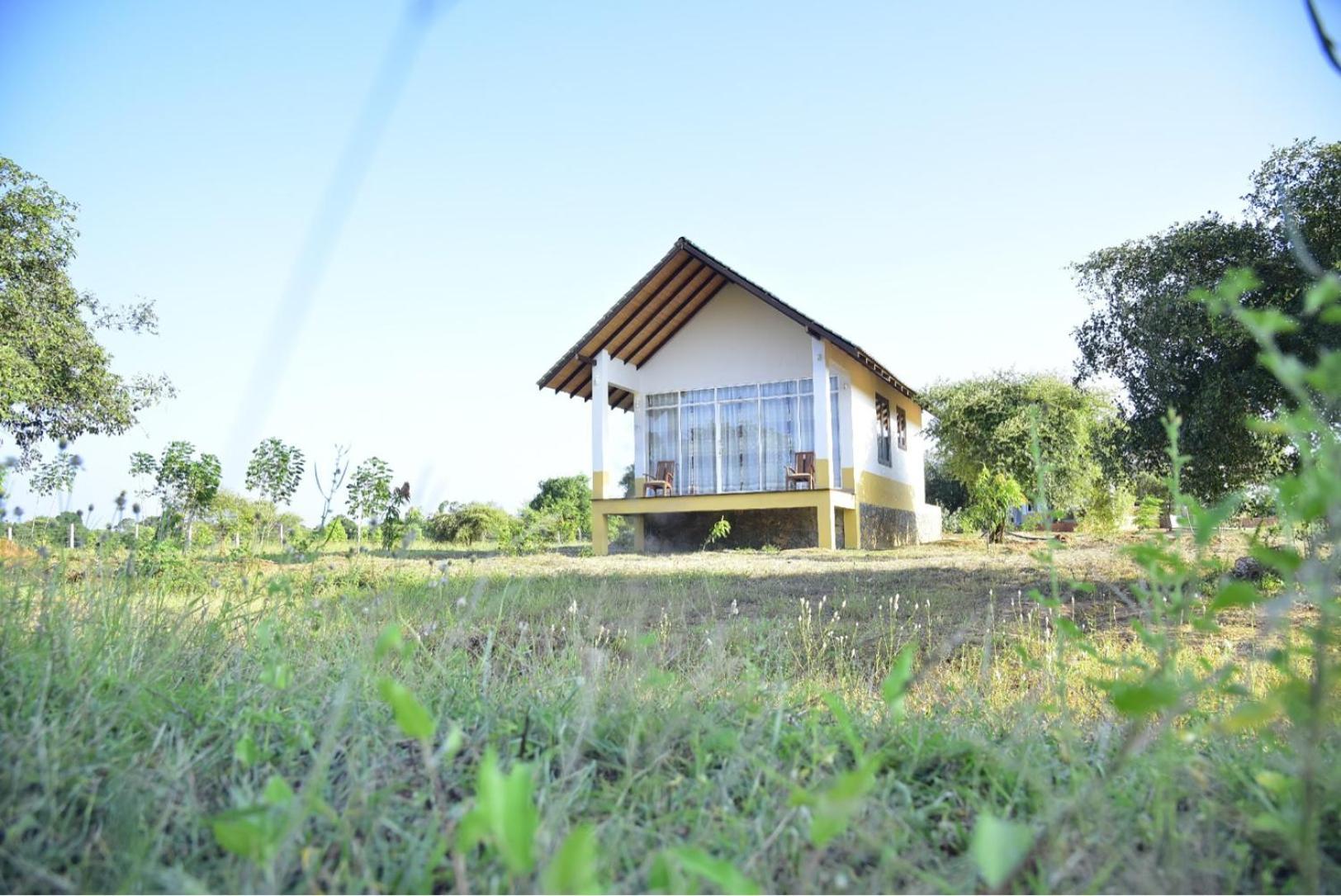 ティッサマハーラーマ Thihawa Eco Huts Yala Bed & Breakfast エクステリア 写真