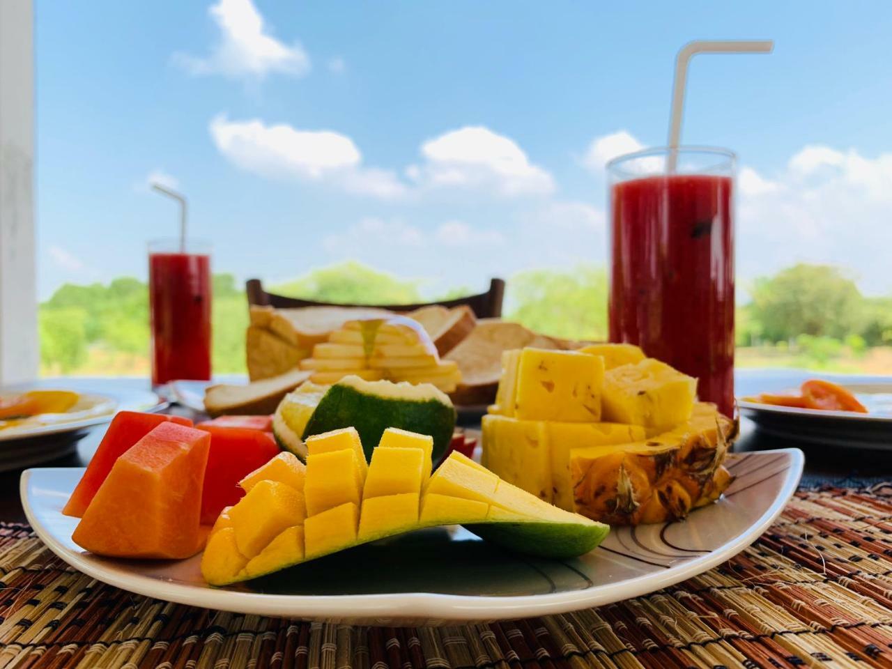 ティッサマハーラーマ Thihawa Eco Huts Yala Bed & Breakfast エクステリア 写真