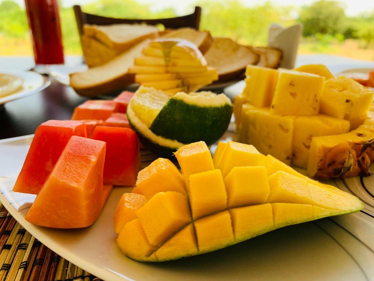 ティッサマハーラーマ Thihawa Eco Huts Yala Bed & Breakfast エクステリア 写真