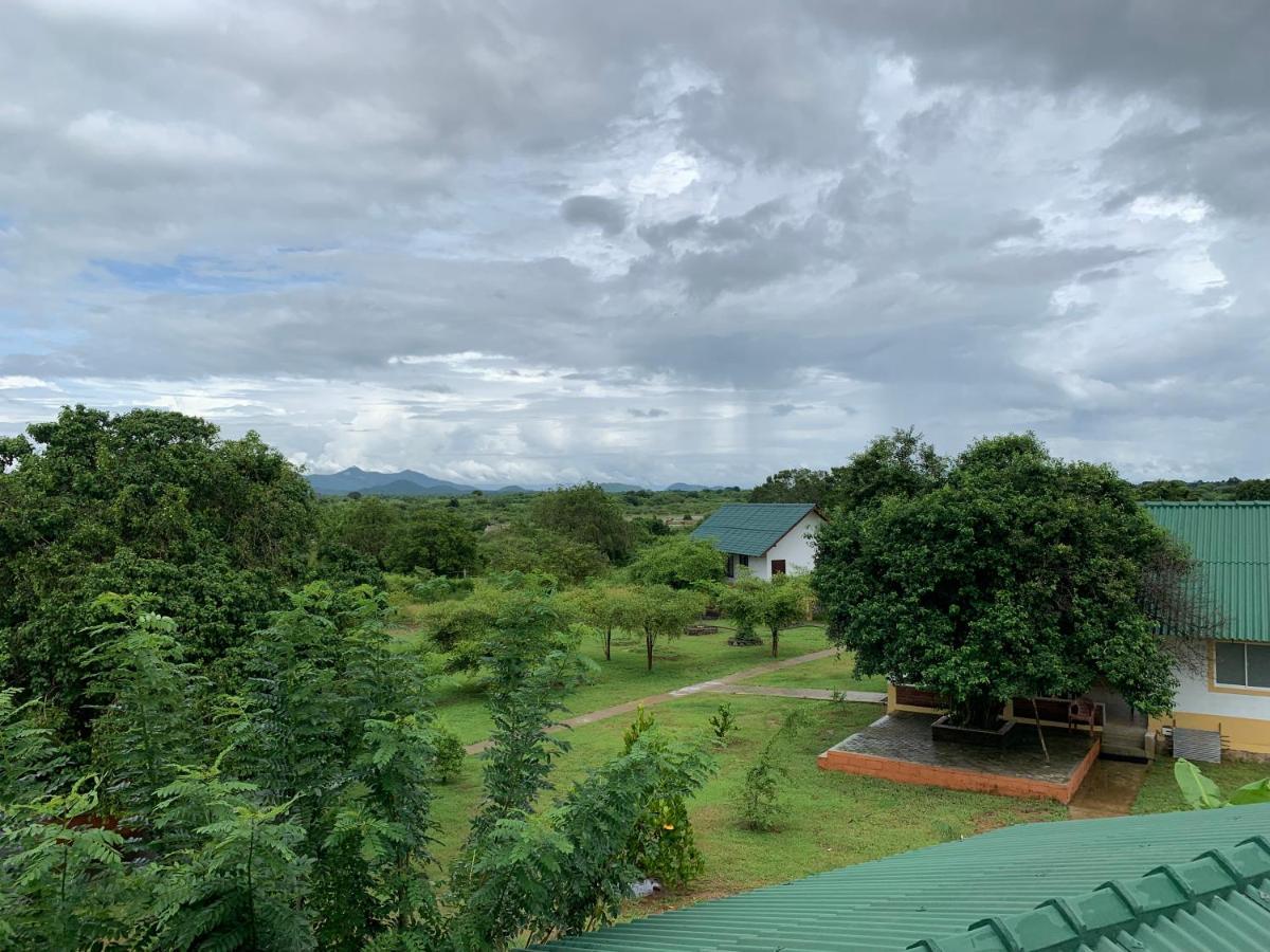 ティッサマハーラーマ Thihawa Eco Huts Yala Bed & Breakfast エクステリア 写真