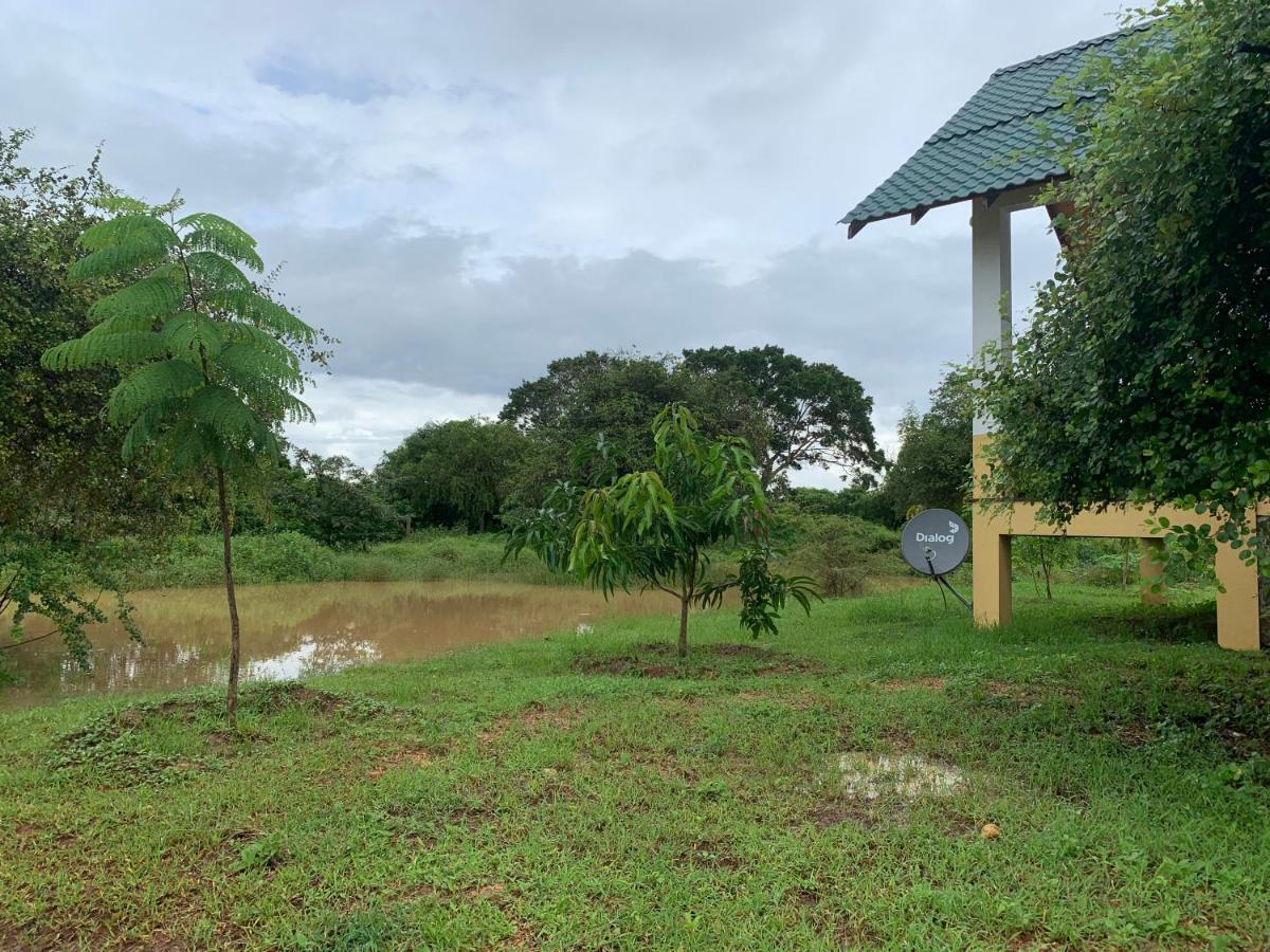 ティッサマハーラーマ Thihawa Eco Huts Yala Bed & Breakfast エクステリア 写真